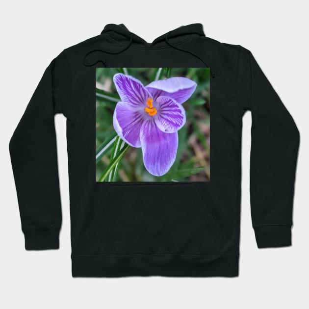 Purple, Orange and White Flower 2 Hoodie by AustaArt